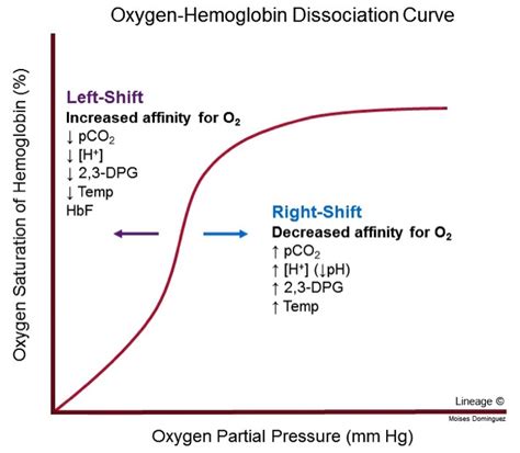 Solved Why does a low pH affect the hemoglobin curve ? Why | Chegg.com