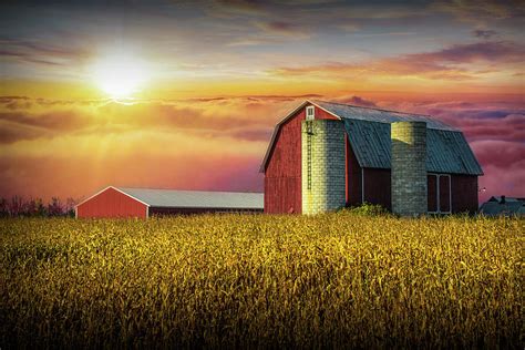 Red Barn At Sunrise By Autumn Cornfield Photograph By Randall Nyhof