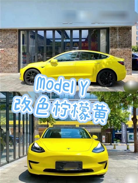 Model Y Model Y