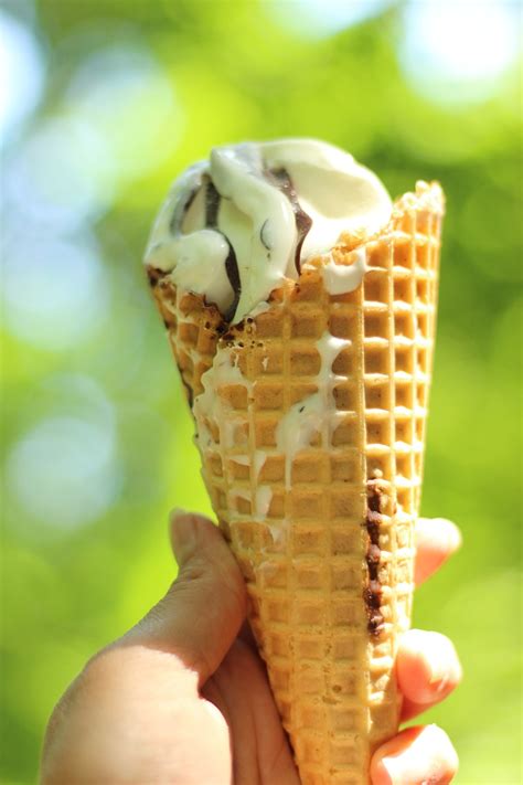 Ice Cream Waffle Cone Dessert Free Photo On Pixabay Pixabay