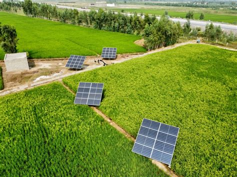 How Renewable Energy In Pakistan Can Reduce Poverty The Borgen Project