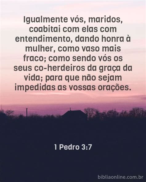 1 Pedro 3 7 Explicação - PALAVRA DE HOJE: 1 Pedro 3:7