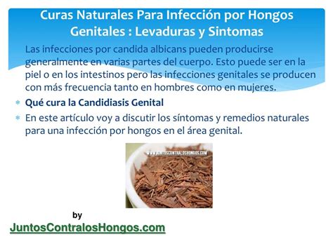 PPT Curas naturales para infección por hongos genitales levaduras y