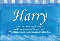 Harry Name Meaning - Harry name Origin, Name Harry, Meaning of the name Harry, Baby Name Harry ...