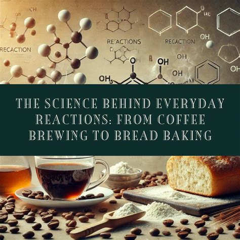 The Science Behind Everyday Reactions: From Coffee Brewing to Bread Ba