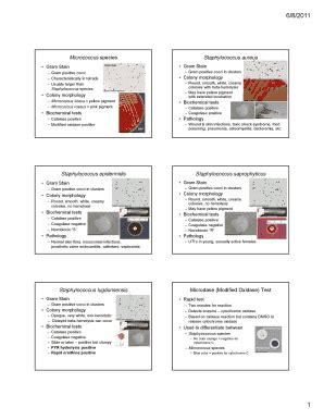 Micrococcus Roseus Morphology - Fill and Sign Printable Template Online