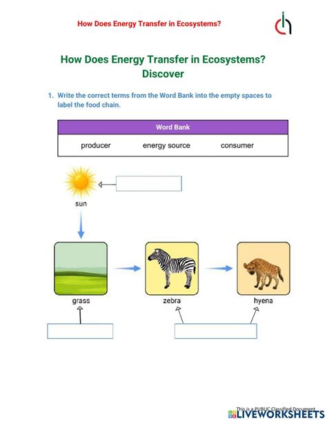 Energy Flow In An Ecosystem Worksheet Live Worksheets Worksheets Library