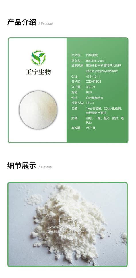 白桦脂酸价格 厂家：山西玉宁生物科技有限公司