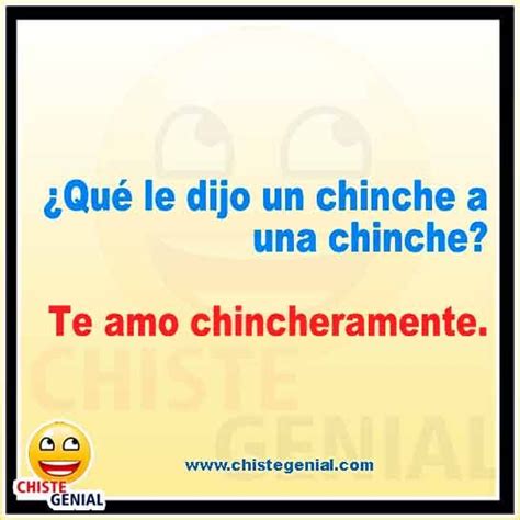 ¿ Que Le Dijo Un Chinche A Una Chinche Chistes Cortos Chistes