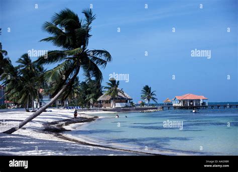 Hotel Beach San Pedro Ambergris Caye Belize Stock Photo Alamy