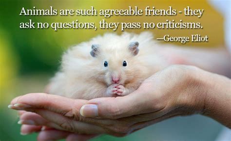 Inspirational Quotes for Animal Lovers - Guideposts