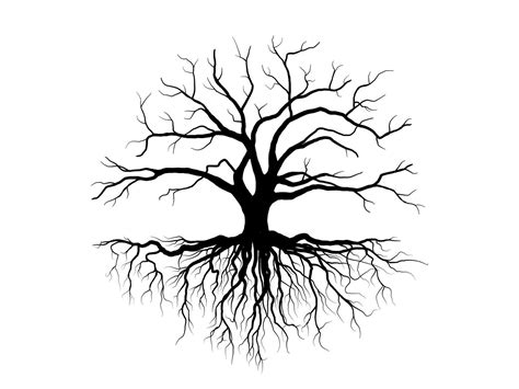 Black Branch Tree Or Naked Trees Silhouettes Hand Drawn Isolated