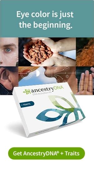 What To Expect From Your AncestryDNA Test Results AncestryDNA