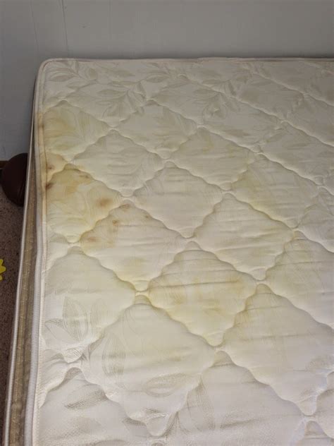 Mattress Mess Busters: 5 Proven Methods To Erase Pee Stains For Good
