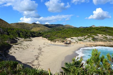 Cala Torta In Mallorca Enjoy A Wild Unspoilt Beach Go Guides