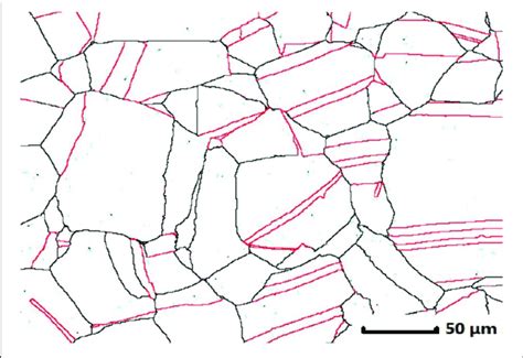 Microstructure Of Annealed Specimen The High Angle And Twin Download Scientific Diagram