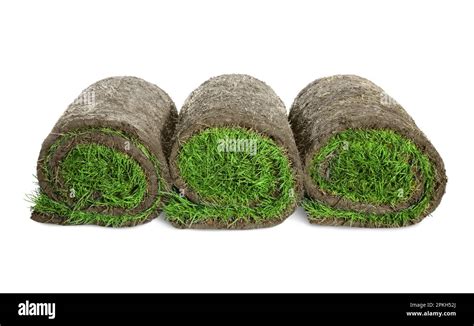 Turf rolls Cut Out Stock Images & Pictures - Alamy
