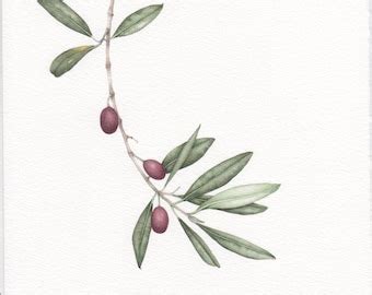 Olive branch watercolor painting Kitchen art Fruit Art