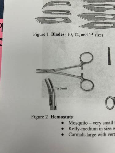 Surgical Instruments Flashcards Quizlet