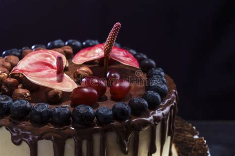 Torta De Chocolate Adornada Con Las Nueces Y Los Ar Ndanos De Las Uvas