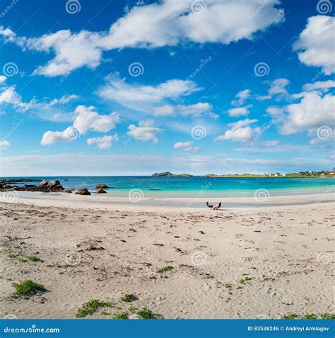 Spiaggia Delle Isole Dell Arcipelago Di Lofoten Della Spiaggia