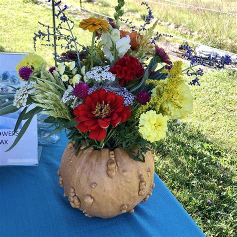 female pumpkin flower 9