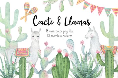 Cactus And Llama Watercolor Clipart And Patterns By KristyWatercolor