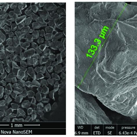 Scanning electron microscope images of the sand particles (0.1~0.25 mm). | Download Scientific ...