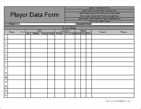 Free Personalized Wide Numbered Row Baseball Player Data Form