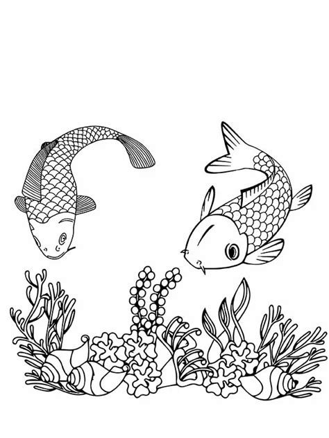 Koi Fische Und Korallen