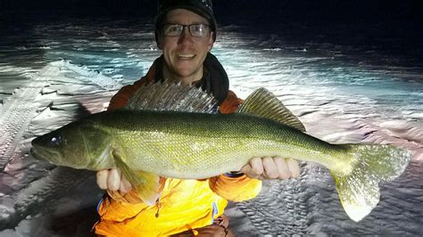 Upper Red Lake Walleye