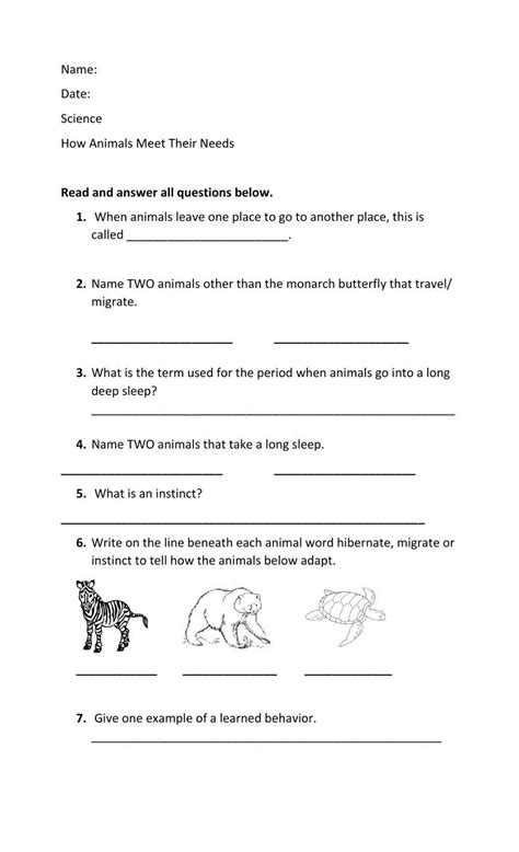 Migration And Hibernation Worksheet Live Worksheets Worksheets Library