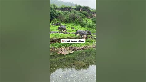 صلالة سلطنة عمان ص خريفصلاله صلالة Salalah ظفار عُمان Oman