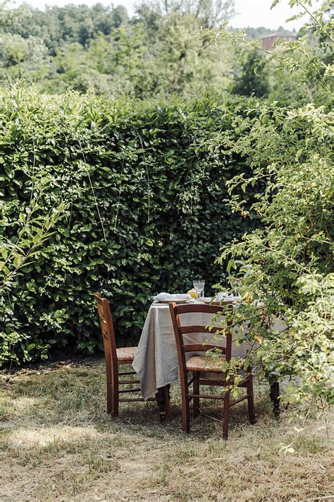 Gedeckter Tisch Im Garten Bild Kaufen 13646952 Gartenbildagentur