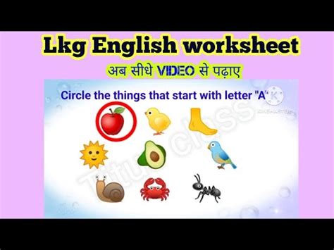 LKG English Worksheet LKG English English Worksheet For LKG