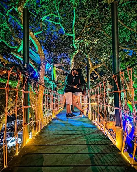 El bosque encantado | Baños de agua santa | Ecuador