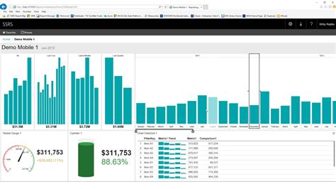 Ssrs Report Dashboard