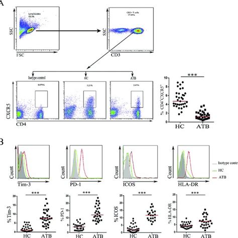 Blockade Of Tim And Pd Restores The Function Of Cd Cxcr T