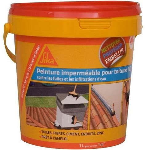 Peinture Lastique Imperm Able Pour Toiture Inclin E L Bricorama