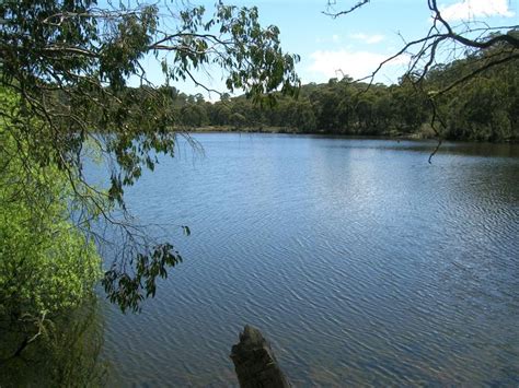 Camping At Bago State Forest