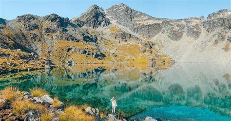 New Zealand Vacation: Essential Things to Know Before Your Trip - Pelikin