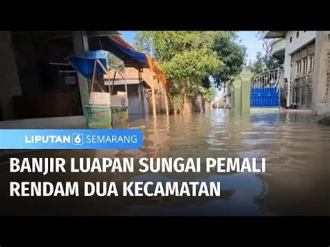 Banjir Luapan Sungai Pemali Rendam Dua Kecamatan Liputan 6 Semarang