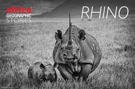 RHINO - Africa Geographic