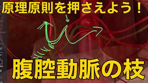lhblqn