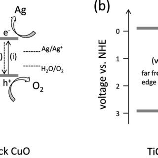 Schematic Energy Diagrams And Proposed Photocatalytic Processes