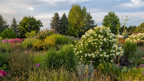 Plant Landscape Design: Tips for Transforming Any Outdoor Space into a Garden Paradise | First ...