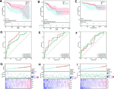 Validation After Prognostic Signature Construction And Characteristics