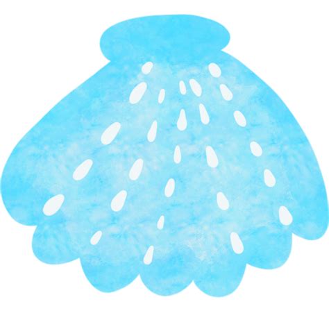 watercolor drawing shells 25023006 PNG