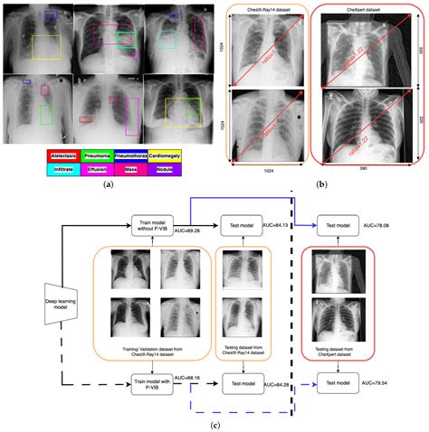 Bioengineering Free Full Text Patch Level Feature Selection For