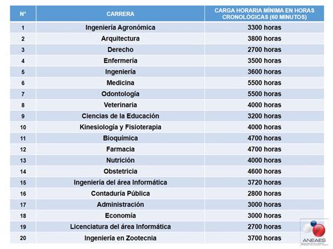 Cuantos A Os Dura La Carrera De Dise O De Modas Descubre La Duraci N